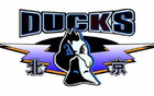 京隊季后賽命中率超五成，三分效率高，搶前場籃板20+。