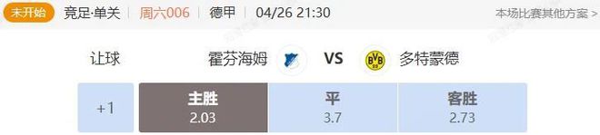 德甲英超解析：霍芬海姆VS多特+布賴頓VS漢姆聯(lián)