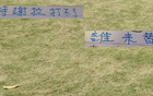 申花特謝拉傷缺，國家隊無礙，反家傷兩人。