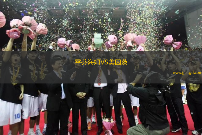 霍芬海姆VS美因茨