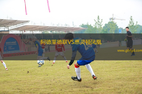 阿德萊德聯(lián)VS惠靈頓鳳凰