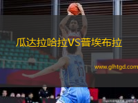 瓜達(dá)拉哈拉VS普埃布拉