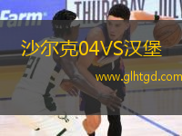沙爾克04VS漢堡