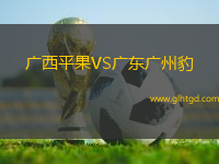 廣西平果VS廣東廣州豹