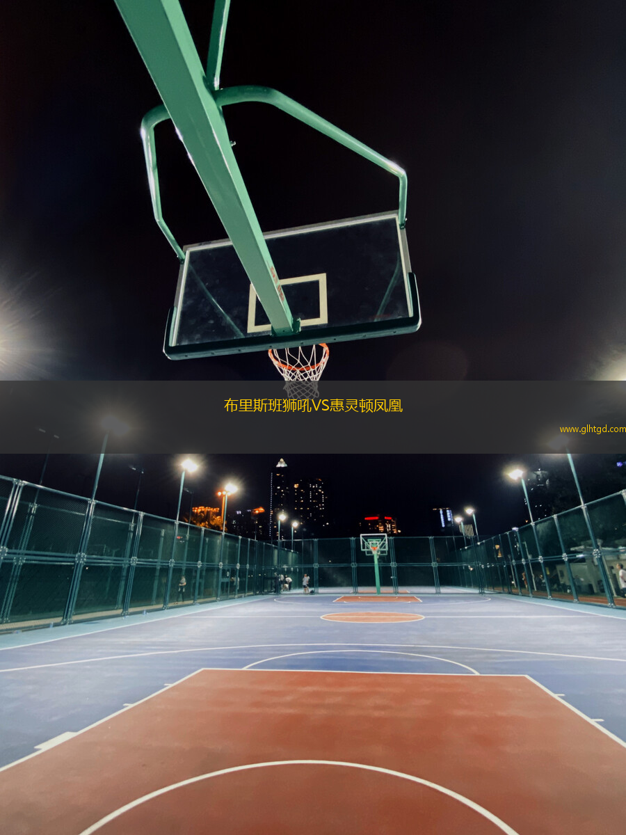 布里斯班獅吼VS惠靈頓鳳凰