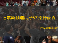 德累斯頓迪納摩VS桑德豪森