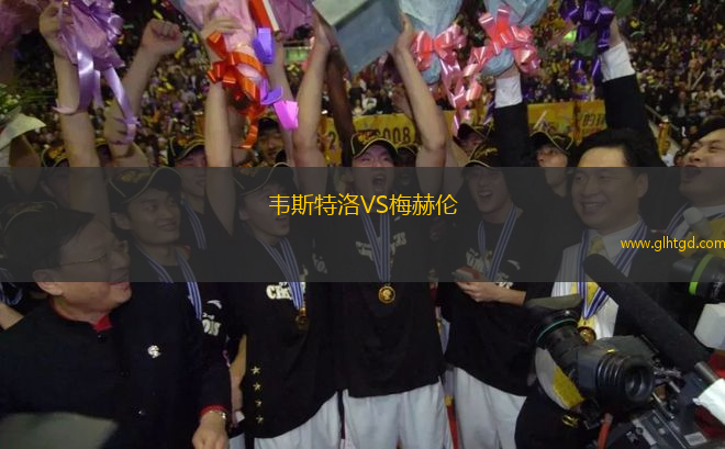 韋斯特洛VS梅赫倫