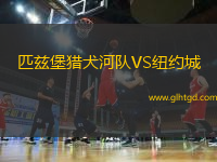 匹茲堡獵犬河隊(duì)VS紐約城