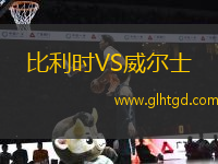 比利時(shí)VS威爾士