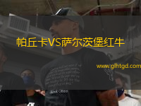 帕丘卡VS薩爾茨堡紅牛